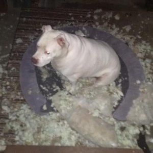 Meet your Posher, Jeff